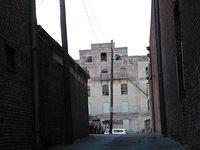 078 tobacco row28