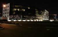 IMG 5984
