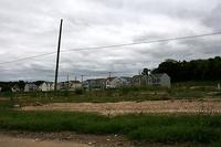 IMG 5278